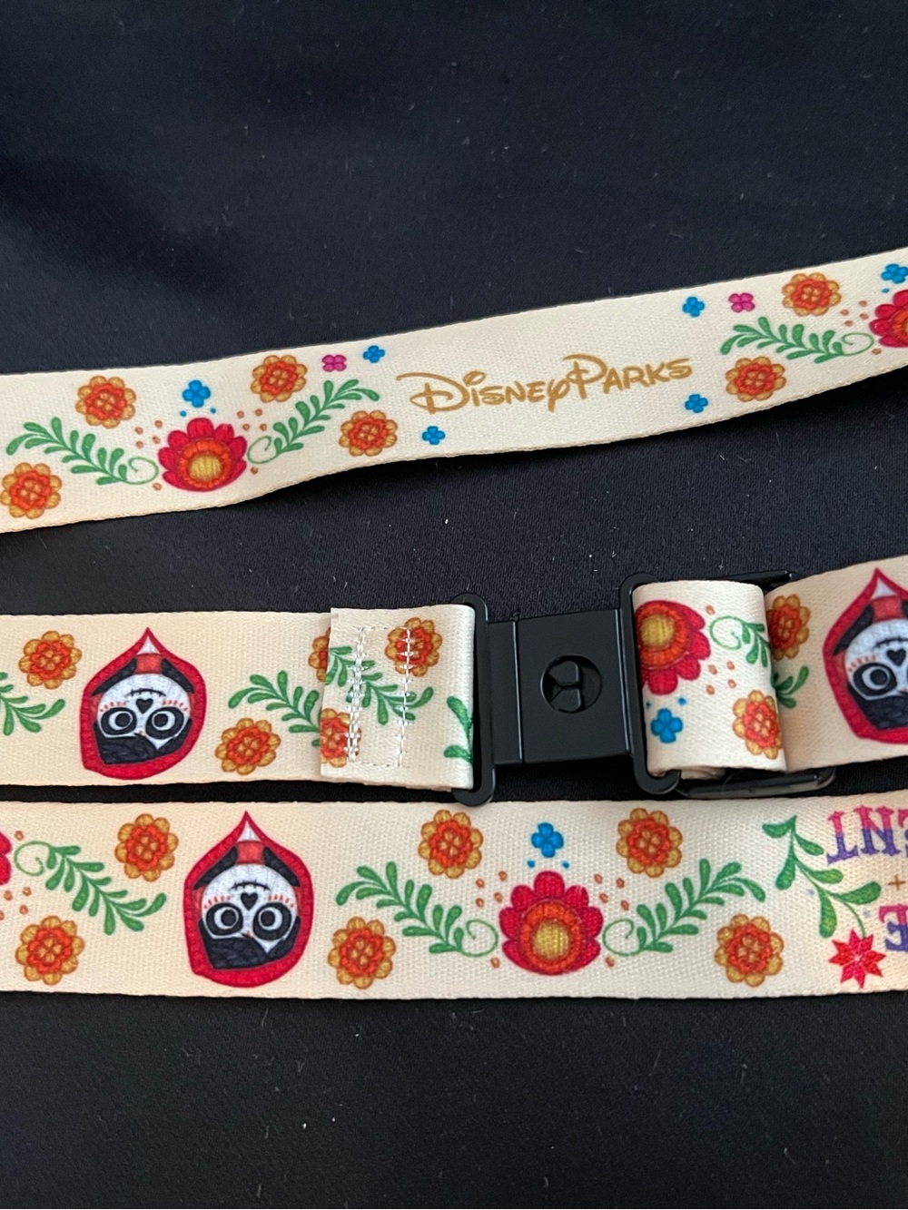 Disneyland Coco Popcorn Bucket - Picture 5 of 5